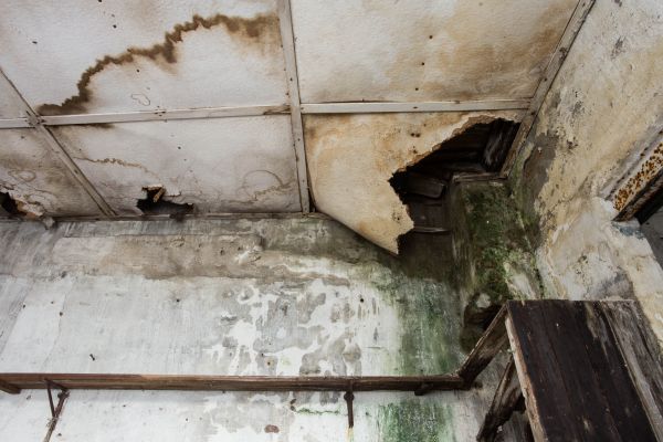 Water Damage Service in Spanish Fork