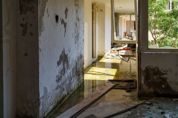 Water Removal Service in Spanish Fork