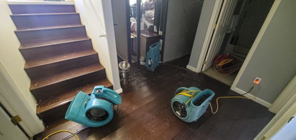 Water Damage Remediation in Spanish Fork