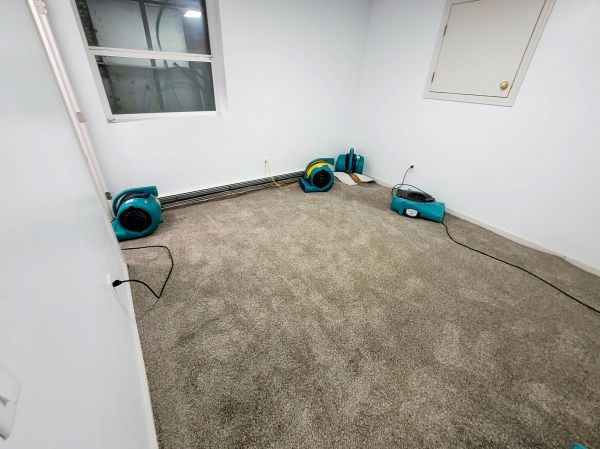 Flood Restoration Service in Spanish Fork